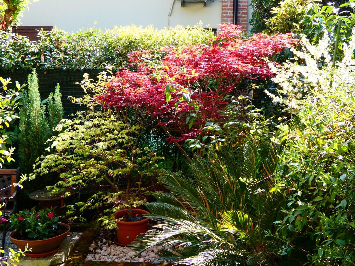 Garden Sweet House Desenzano Apartment Desenzano del Garda Luaran gambar